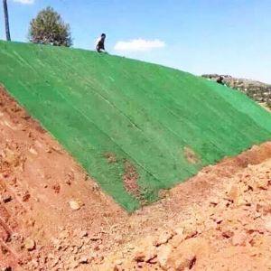 三維植被網(wǎng)護坡施工現(xiàn)場